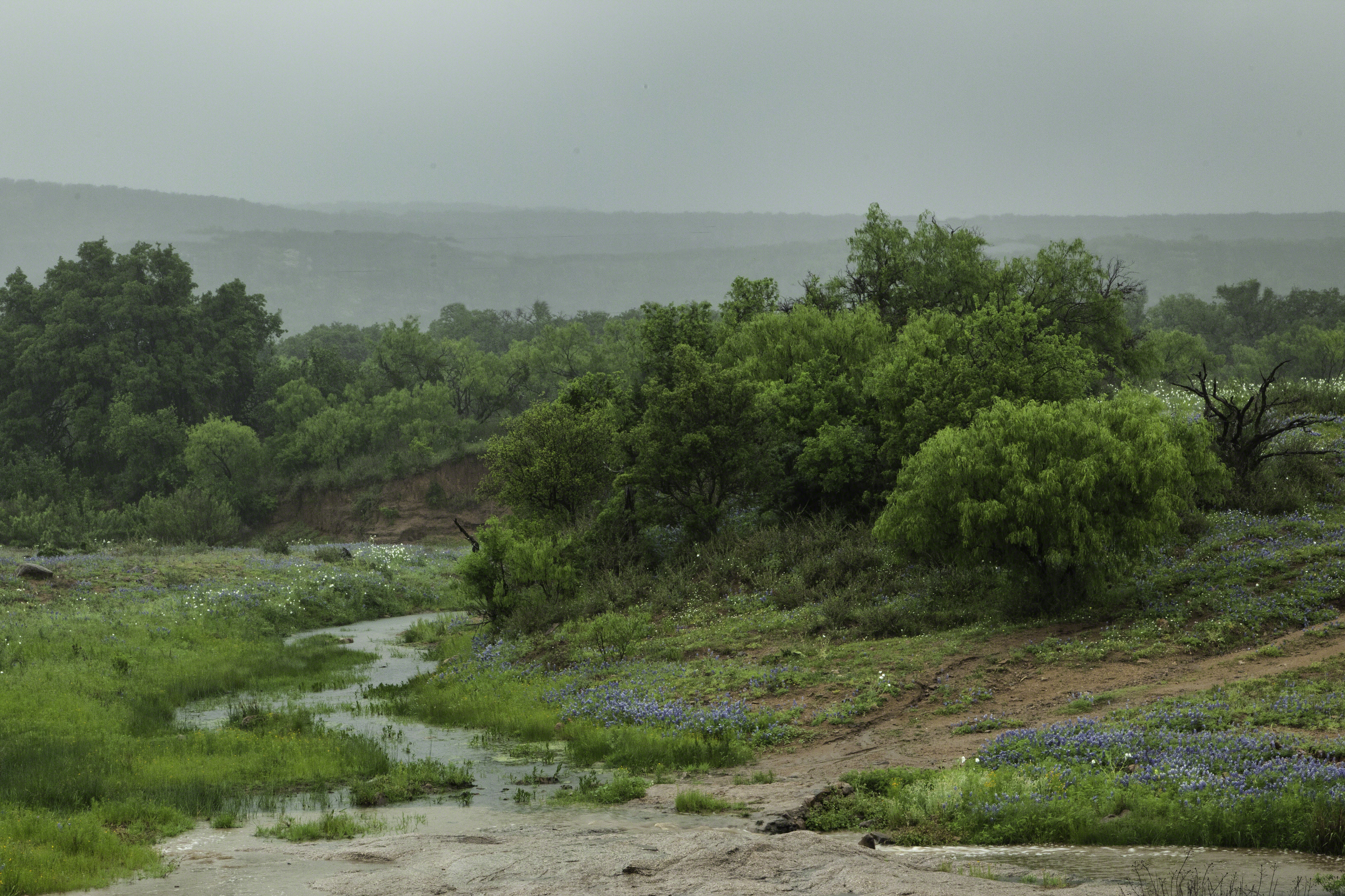 2015 Texas Hill Country Spring