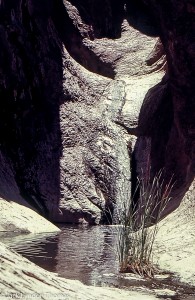 Off-trail Hike with Park Ranger & Friend - 1970 4