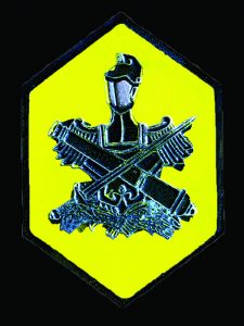 64A Regional Force Insignia 2